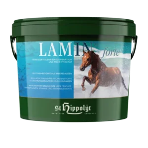 St. Hippolyt <br>Lamin Forte