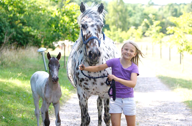 IMG_4489-001 IMG_4489-001