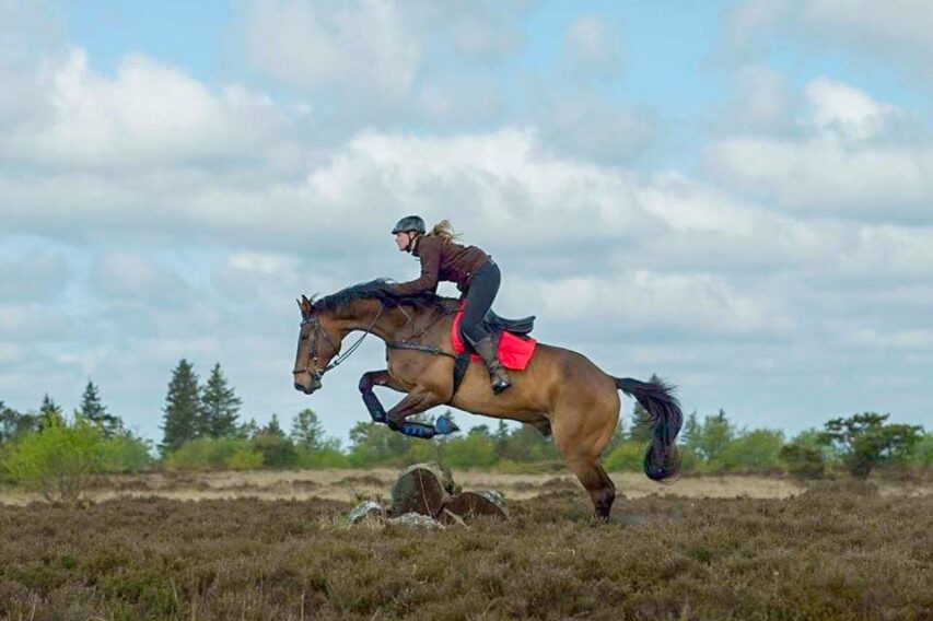 WhatsApp Image 2020-02-05 at 10.59.26 WhatsApp Image 2020-02-05 at 10.59.26