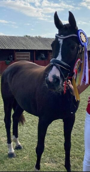 Screenshot_20210905-221823_Messenger Screenshot_20210905-221823_Messenger