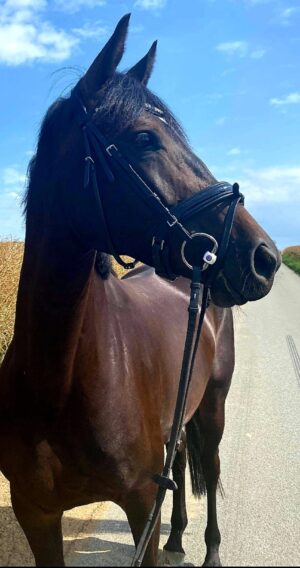 Screenshot_20211003-161544_Gallery Screenshot_20211003-161544_Gallery