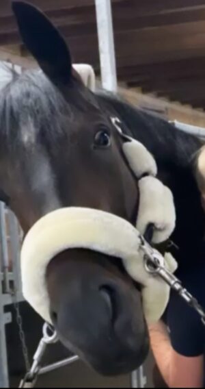 Screenshot_20211003-161615_Gallery Screenshot_20211003-161615_Gallery