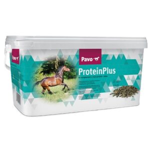 Pavo <br>ProteinPlus